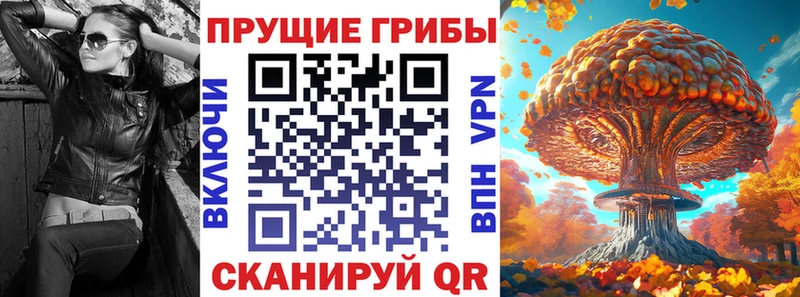 Галлюциногенные грибы Psilocybine cubensis  купить  сайты  Чехов 