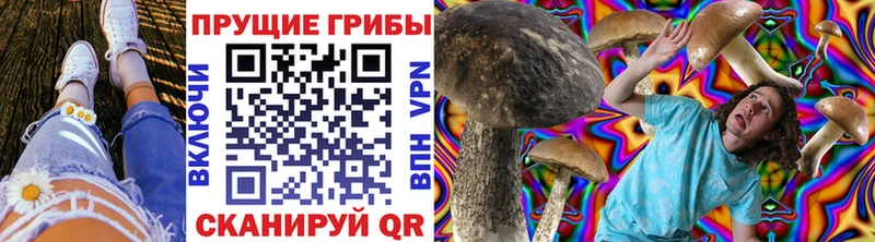 Галлюциногенные грибы Psilocybine cubensis Чехов