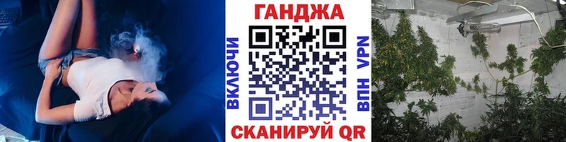 Бошки Шишки тримм  Чехов 